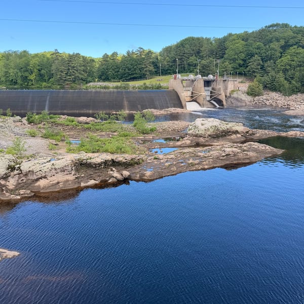 A concrete dam with water flowing through its gates, surrounded by a rocky riverbed and lush green trees.