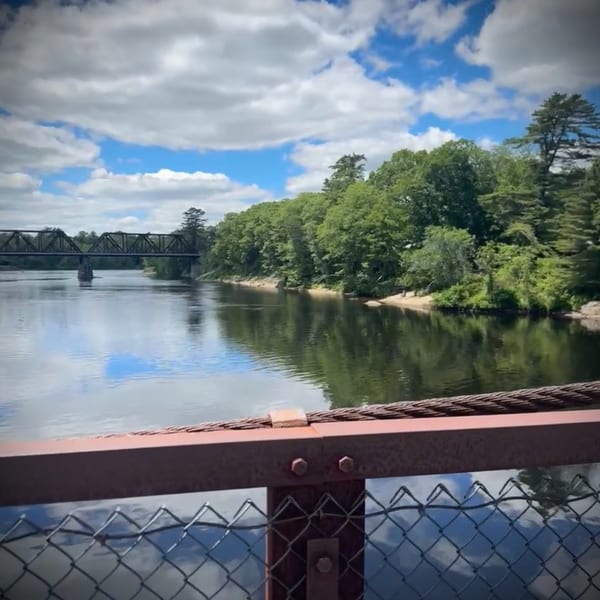 A river with a bridge in the distance, surrounded by lush green trees under a cloudy sky.