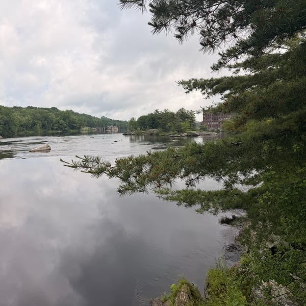 A river with trees and a building in the background under a cloudy sky.