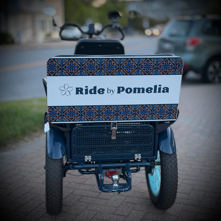 Book a ride to a Special Destination ✨